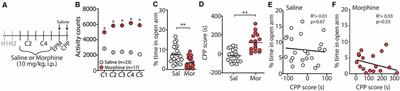 Ketamine Blocks Morphine-Induced Conditioned Place Preference and Anxiety-Like Behaviors in Mice